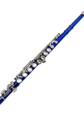 极速16孔C调E键闭孔长笛彩色蓝色紫色青色笛子儿T童学生初学者演