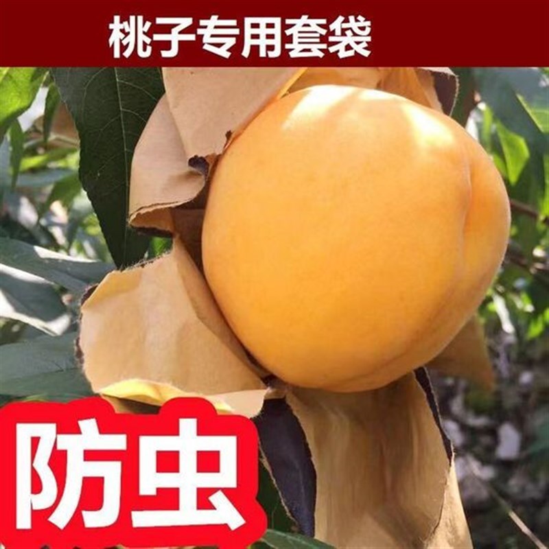 速发黄桃套袋桃子水蜜桃防袋专用水子水果网套防虫保神袋防鸟护器