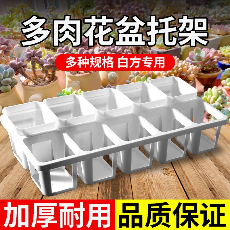 速发多肉花盆7cm方盆8架托架料色小白方带托孔多肉植物育苗盆塑白