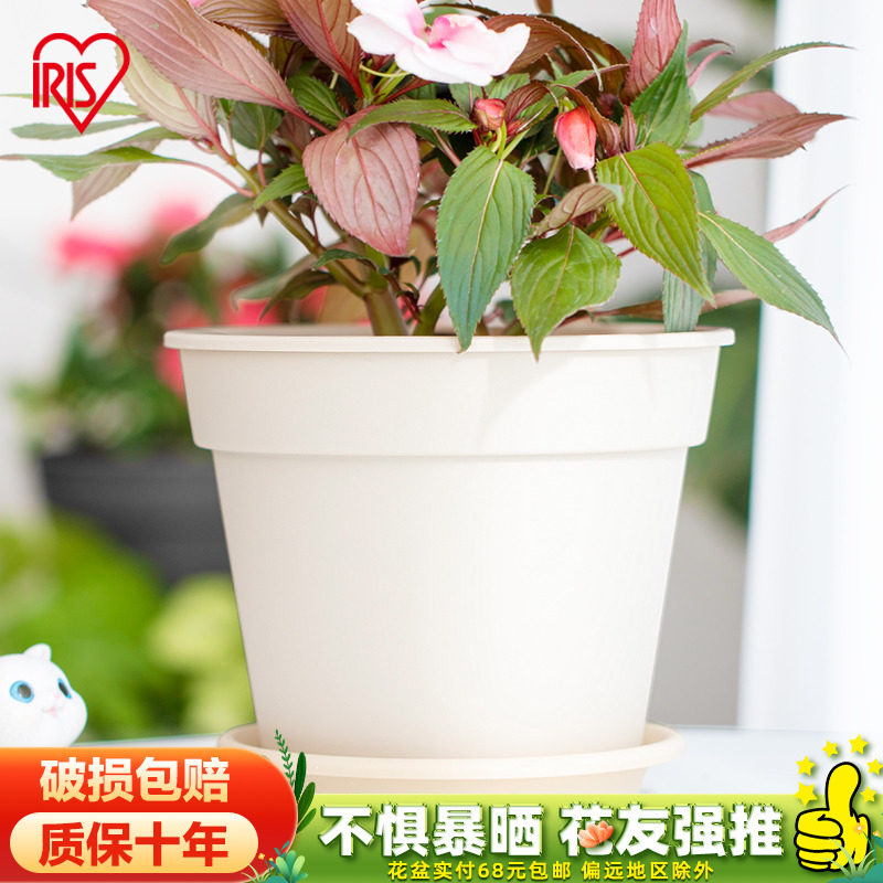 速发料RIS简约丝烧风花盆园艺花卉盆爱丽素室外台大号塑I花盆