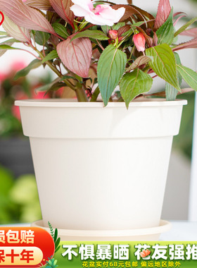 速发料RIS简约丝烧风花盆园艺花卉盆爱丽素室外台大号塑I花盆
