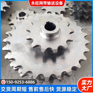 速发不锈钢链轮齿轮工业传动双节2单双排08a1距a双排齿轮4分轴承