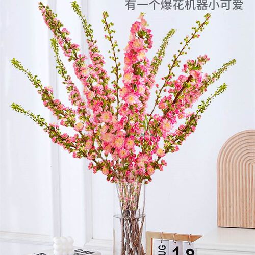 速发桃珠李束重瓣珍花鲜切花卉水培植物雪柳遇水开花水养花卉