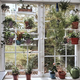 极速Modern Decorative Plavnt Rack Stand Plants Succulent she