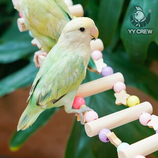 新品鹦鹦队 鹦鹉实木爬梯u站杆秋千啃咬攀爬挂件牡丹玄凤鸟笼装饰