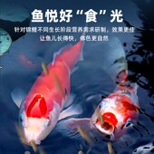 新品 锦鲤鱼饲料鱼食专用金鱼观赏鱼F蝴蝶鲤通用鱼粮上浮型小颗粒