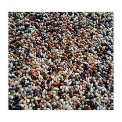 极速文鸟粮雪鸽粮芙蓉鸟粮金丝雀食珍珠鸟食混合S粮鸟鸟粮鸟饲料5