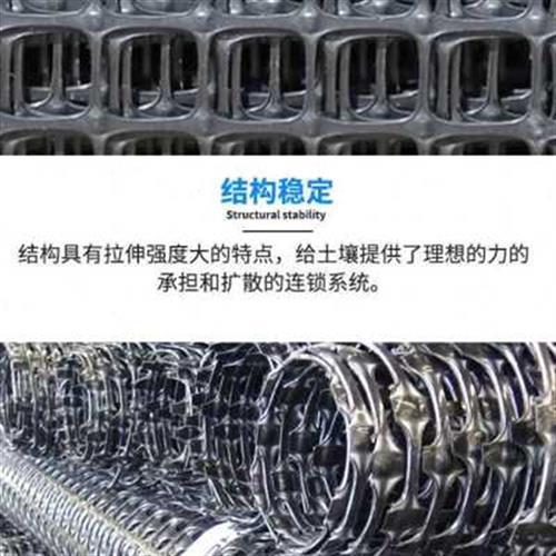 极速厂销新款塑料土工格栅水产养殖网格养鸡养鸭围栏X网防护网玉