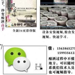 极速厂销厂销2h021家用小型酿j酒设备酿酒机恒温发酵桶纯露机烧酒
