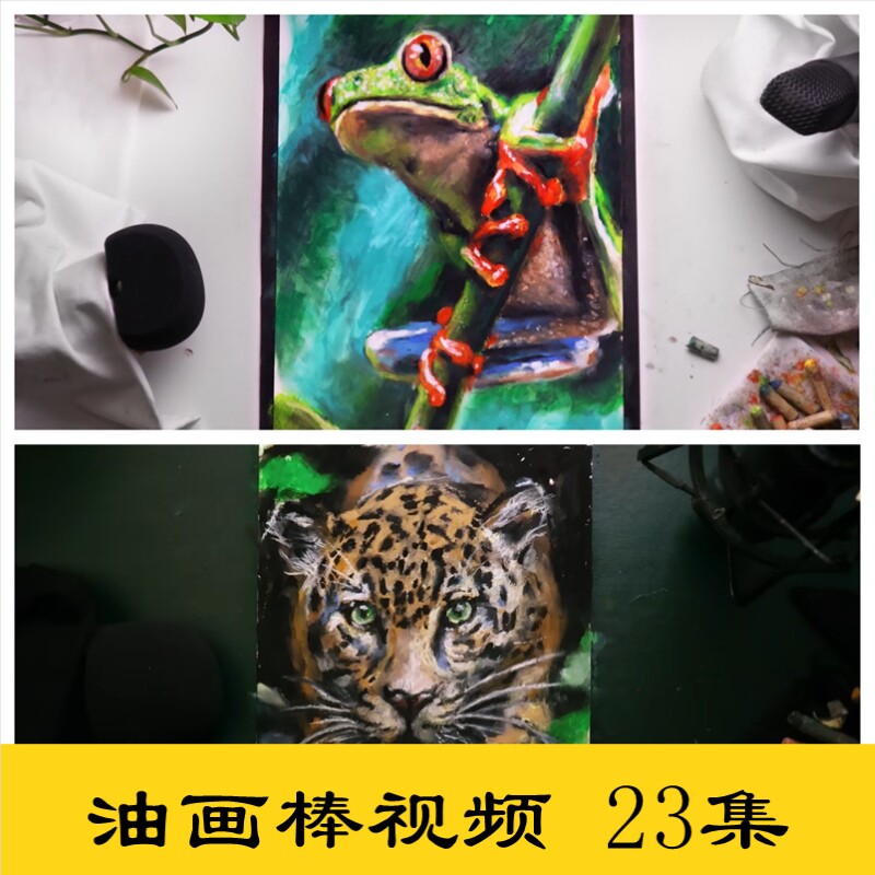 y03油画棒动物绘画花卉孔雀猎豹鲨鱼树蛙绘画手绘临摹美术视频