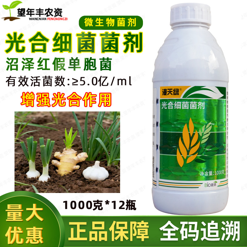 漫天绿光合细菌菌剂微生物菌剂沼泽红假单胞菌大蒜小葱专用叶面肥