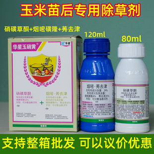 玉硝黄玉米苗后专用除草剂硝磺莠去津烟嘧磺隆玉米苗后除草专用药