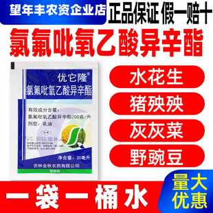 优它隆氯氟吡氧乙酸异辛酯玉米水花生小麦田阔叶杂草农药除草剂