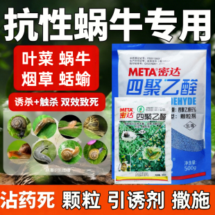 密达四聚乙醛蜗牛药蛞蝓杀蜗牛专用农药四聚乙颗粒果树菜地杀虫剂