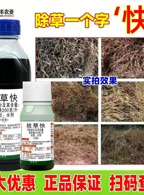 正品灭抑得敌草快一扫光果园荒地
