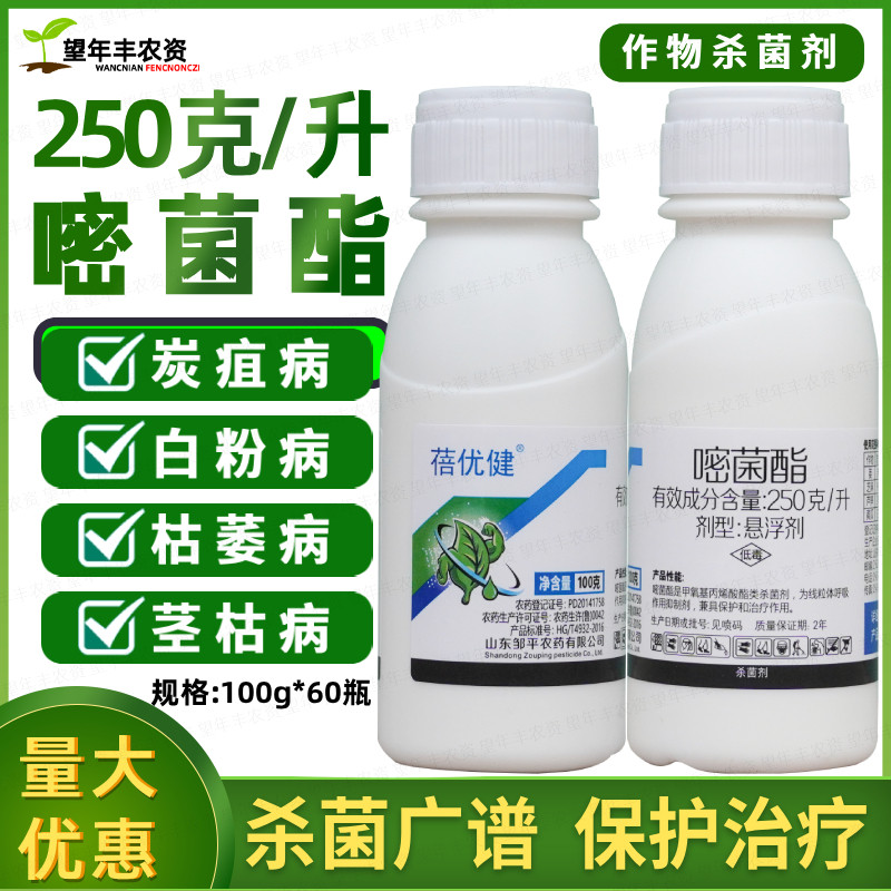 嘧菌酯白粉病炭疽病茎枯病杀菌剂