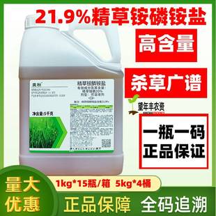 除草剂果园精草胺磷草铵膦杀草安磷农药 奥秋20%精草铵磷铵盐正品