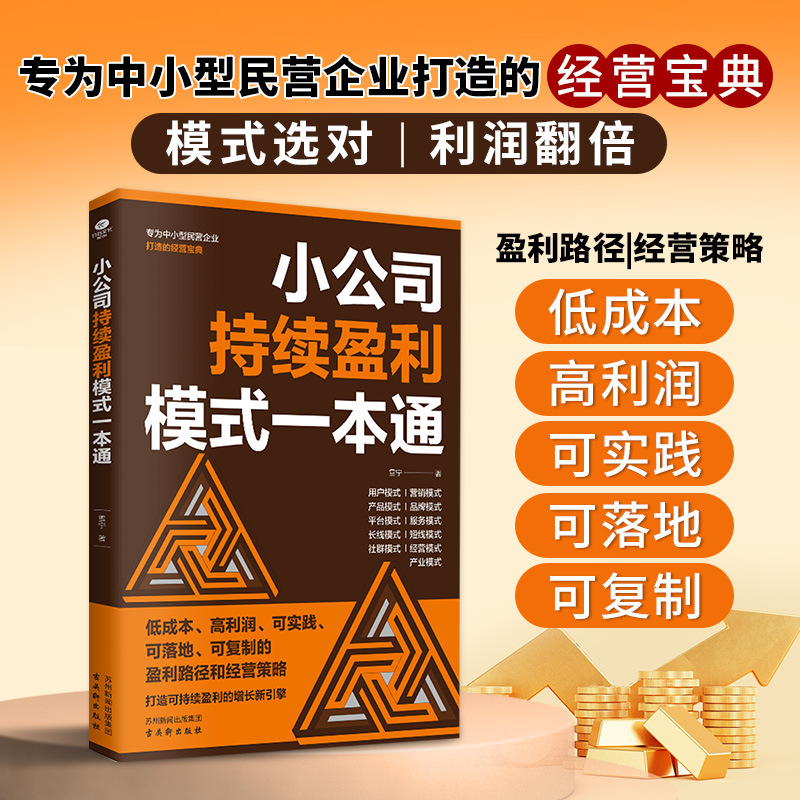 小公司持续盈利模式一本通 专为中小型民营企业打造低成本高利润可实践可落地可复制的盈利路径和经营策略新引擎经营宝典
