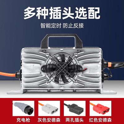 极速48v25a电动观光车充u电器巡逻车扫地机24v30a电动叉车充电机7
