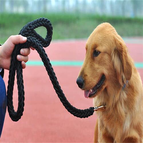 极速Strong Durable Large vDog Leash Traction Lead Rope with