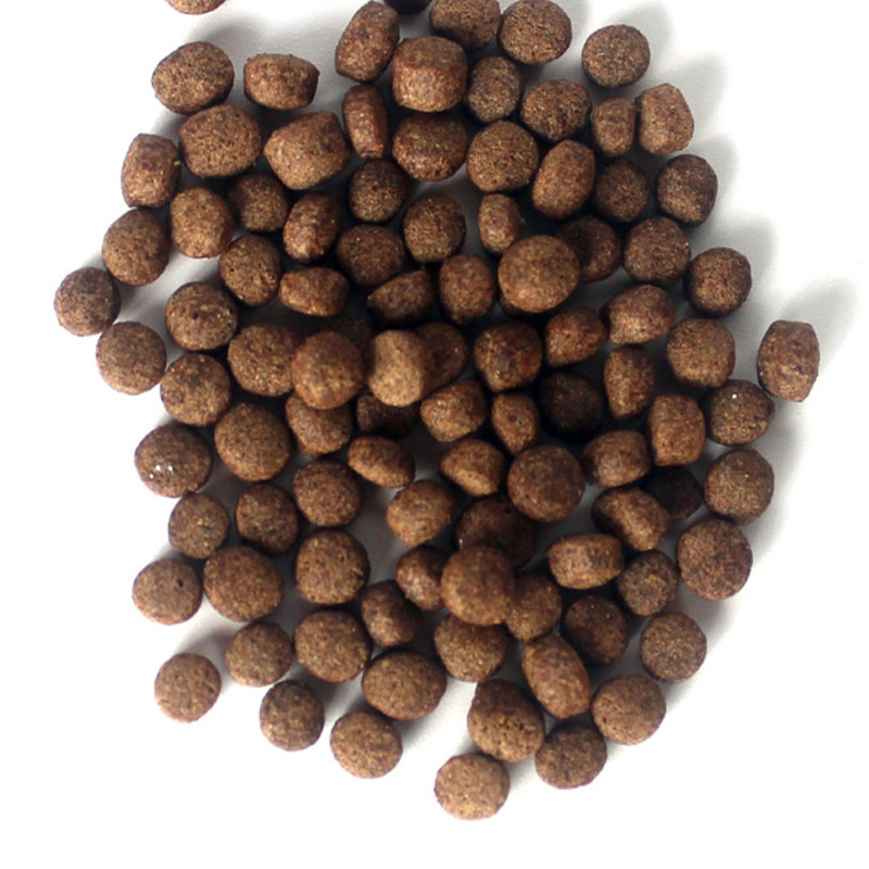 极速养殖场专用大包装颗s粒龟粮乌龟饲料水龟半水龟巴西龟上浮幼,宠物/宠物食品及用品,观赏龟/鳖饲料,淘宝优惠券,粉丝福利购,淘宝优惠卷