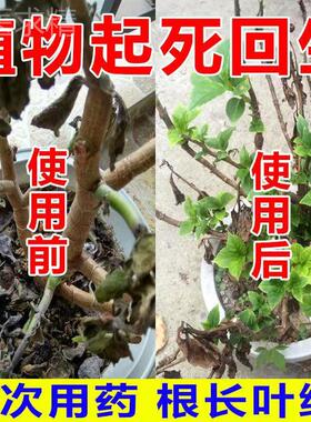 极速大树成活营养液n死树复活生根液大树小苗营养液枯树烂根烂苗