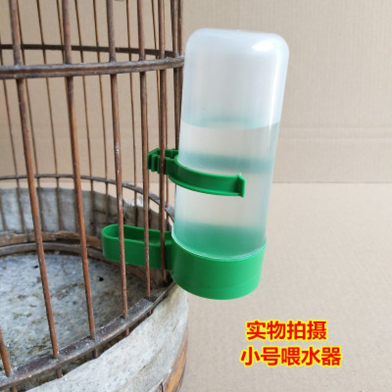 极速自动鸟用自动饮m水器小鸟喂水器珍珠鸟下水喂食器牡丹鹦鹉鹩,宠物/宠物食品及用品,鸟禽喂食器/喂水器,淘宝优惠券,粉丝福利购,淘宝优惠卷