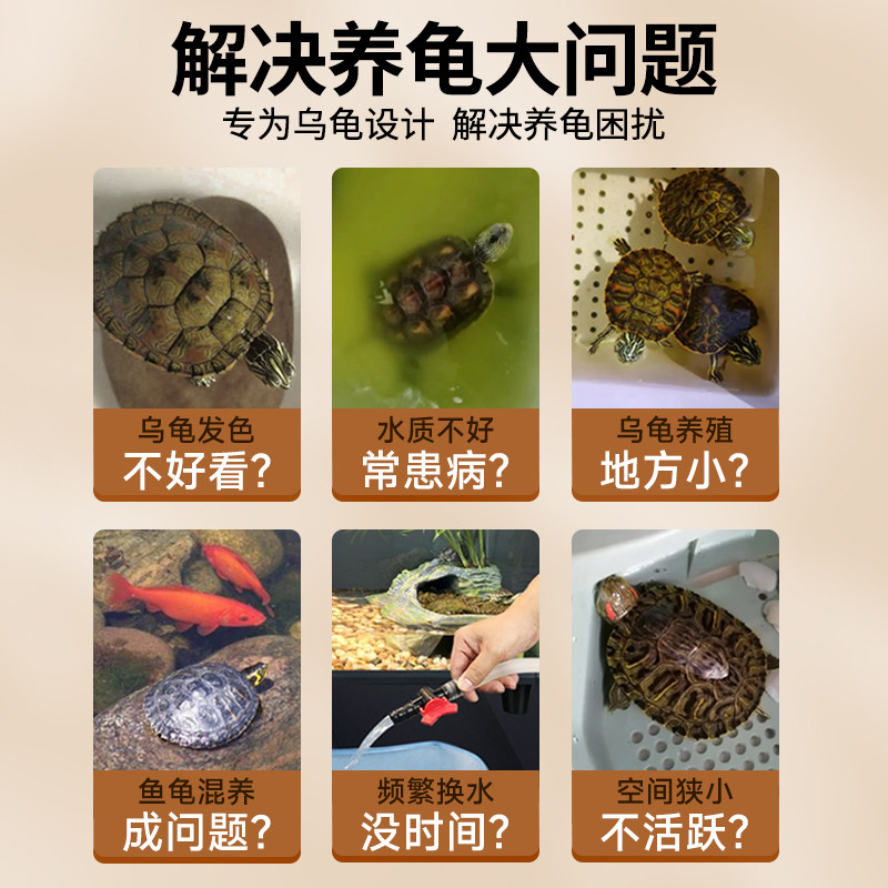 新品乌龟饲养缸周转箱养龟送2只中华草龟情侣小乌龟带Y过滤排水养