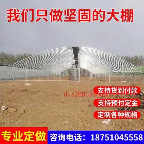 新品温室大棚骨架钢管农用养殖大棚全F套连身热浸锌蔬菜大棚配件