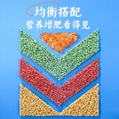 新品 锦鲤鱼不浑水颗粒专用饲料观赏鱼G四合一鱼食通用上浮型锦鲤