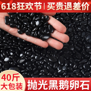 黑色鹅卵石精抛批发小黑石子造景花盆铺面石盆栽植物多肉鱼缸装饰