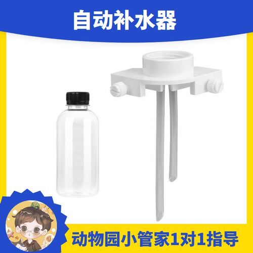 【进阶版】海星饲养套餐海星缸宠物迷你海洋生物海燕小黑的动物园