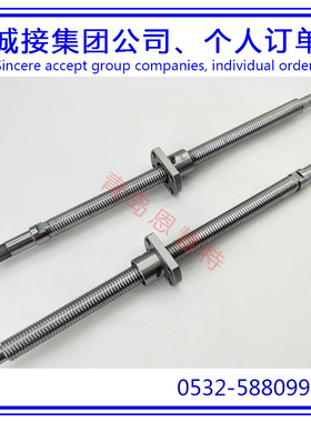 THK滚珠丝杆BNK1002-3RRG2+143LC7Y BNK1002-3RRG2+193LC7Y螺母12