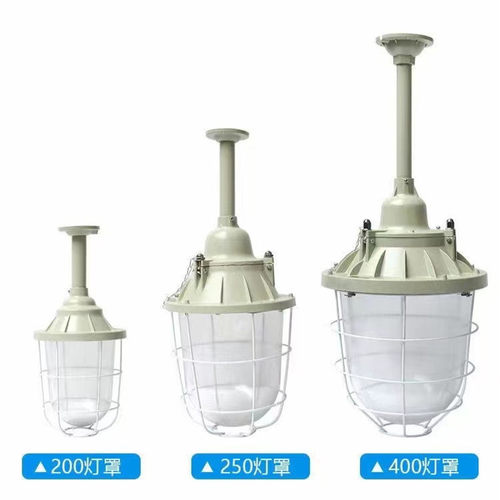工厂现货仓库防爆灯具20W50W100W200W250W加油站灯 LED球泡防爆灯