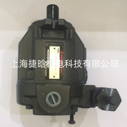 台湾大正PROPISTON柱塞泵 V15-A3-FR01 A10-FR01-H-12