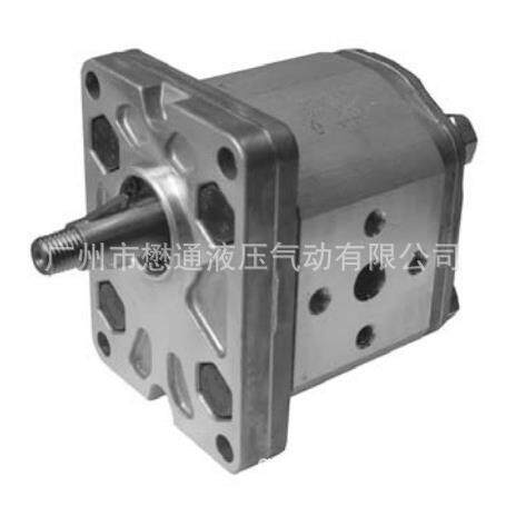 迪普马DUPLOMATIC齿轮泵1P5R/11N,GP1-0013L97F/20NGP1-0013L97F