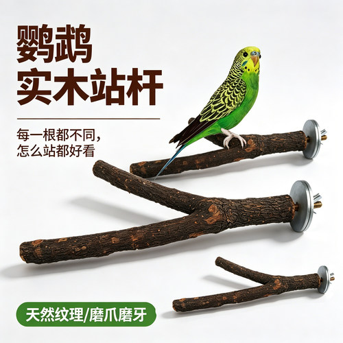 鹦鹉木质二分树杈休息磨爪站杆