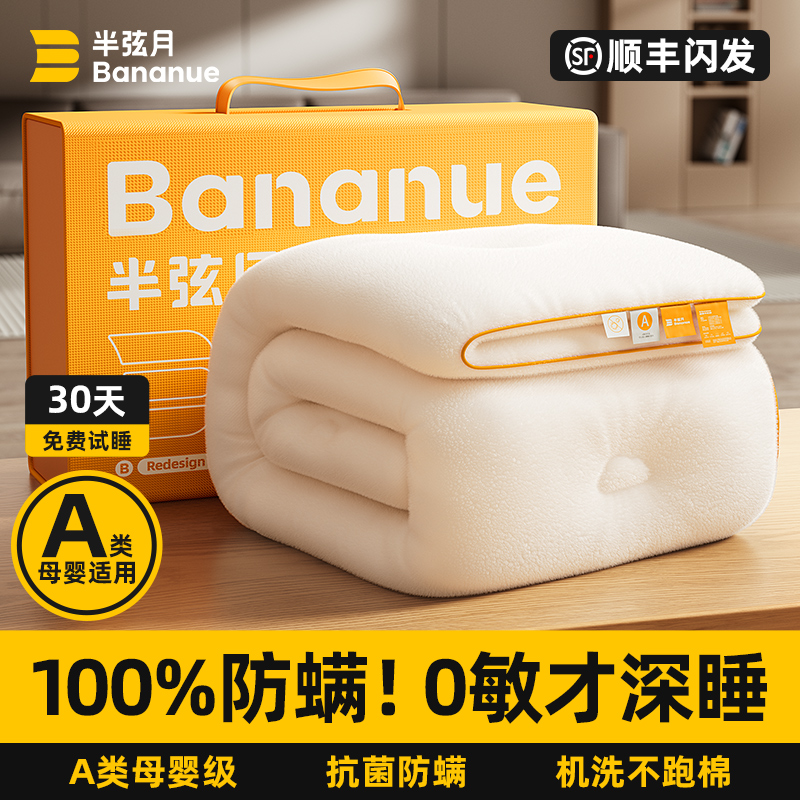 【2025年新款】100%无螨无菌冬被