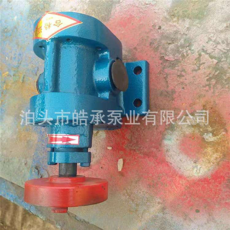 2CY高压齿轮油泵电动机油输送泵渣自吸泵头增压输工业泵高温增压