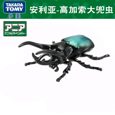 多美卡安利亚高加索大兜虫模型