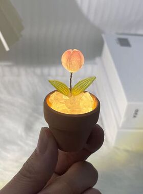 速发郁金香小夜灯手工实用花束生日礼物生闺蜜送朋友孩毕业