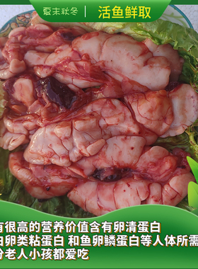 新鲜鲤鱼鱼杂鱼腩白鱼鱼籽鱼泡鱼油活取鱼鳔内脏三宝火锅食材