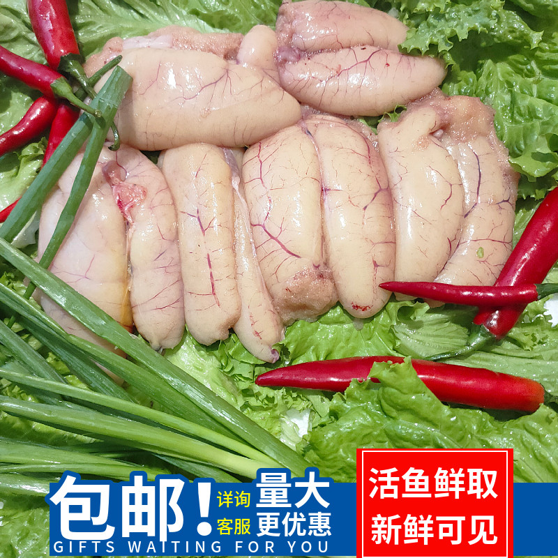 新鲜鳜鱼鱼籽桂鱼子鱼蛋鱼卵鲈鱼湘菜饭店商用批发鱼籽新鲜