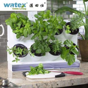 自动吸水懒人花盆种菜神器家庭阳台长方形种植箱室内多肉花盆 新款