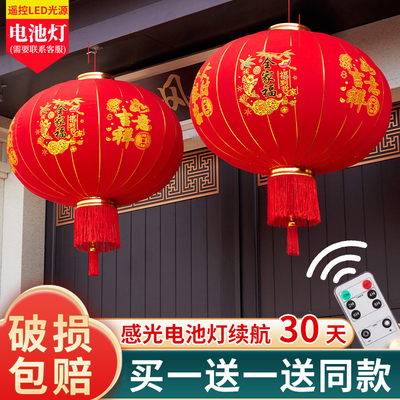 2025新款大红灯笼一对过年大门口宫灯阳台挂饰新年户外中国风吊灯