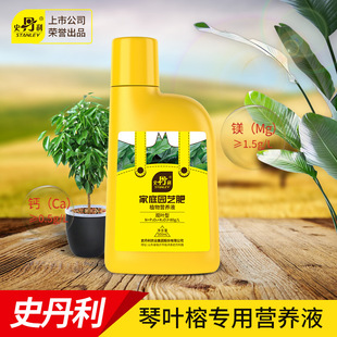 速发史丹叶琴利榕肥料型大型叶叶榕肥四季 长青大琴绿叶营养液