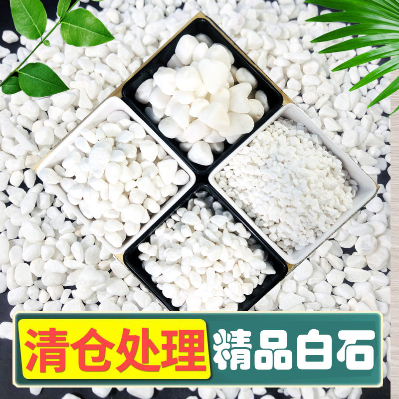 速发多肉铺面石头养花小铺石子鹅卵石雨花石鱼缸造栽盆景庭院白路