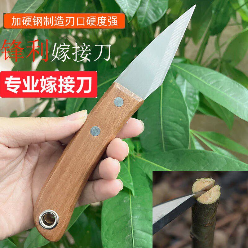速发芽接刀果树嫁接刀专用手工嫁接神器特种钢园艺园林工具多功能