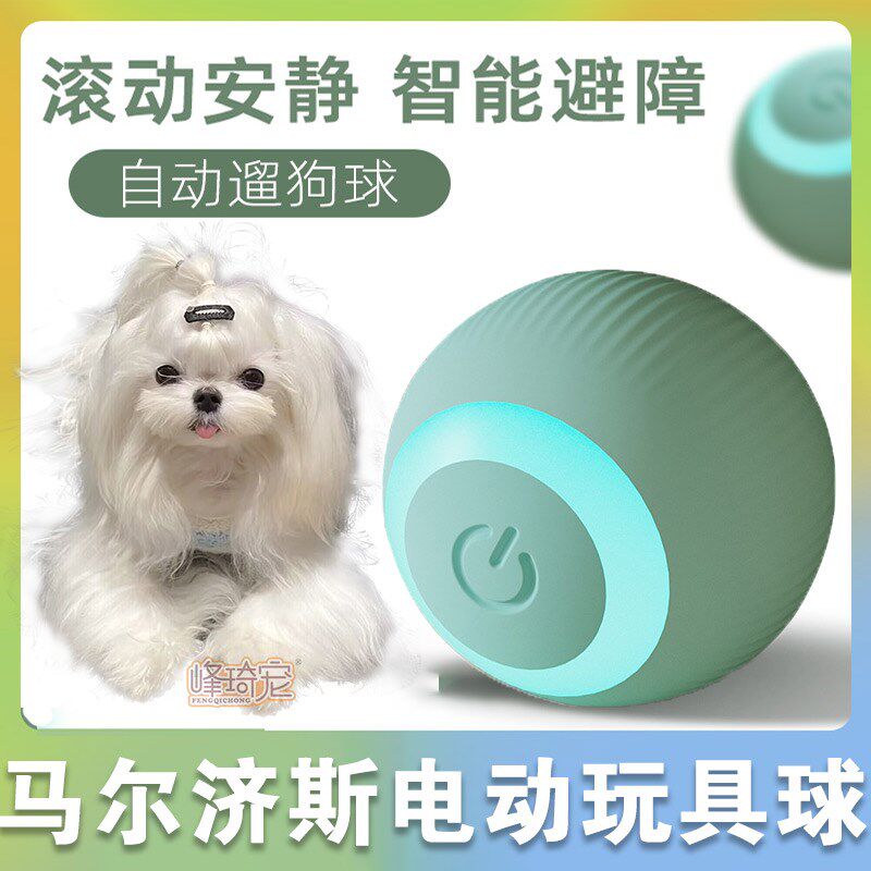 速发马磨济斯自动遛狗玩具球消耗体力自己玩耐尔牙的咬幼犬用品