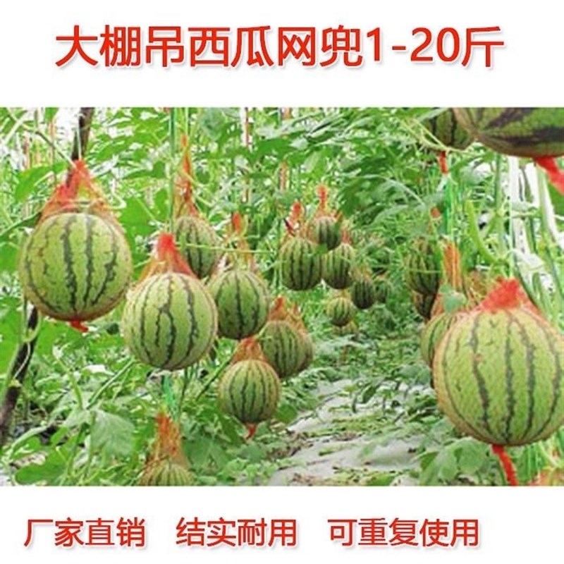 速发大棚吊西瓜网兜厚吊瓜挂瓜袋袋子哈密瓜10斤吊色带绳塑料网网
